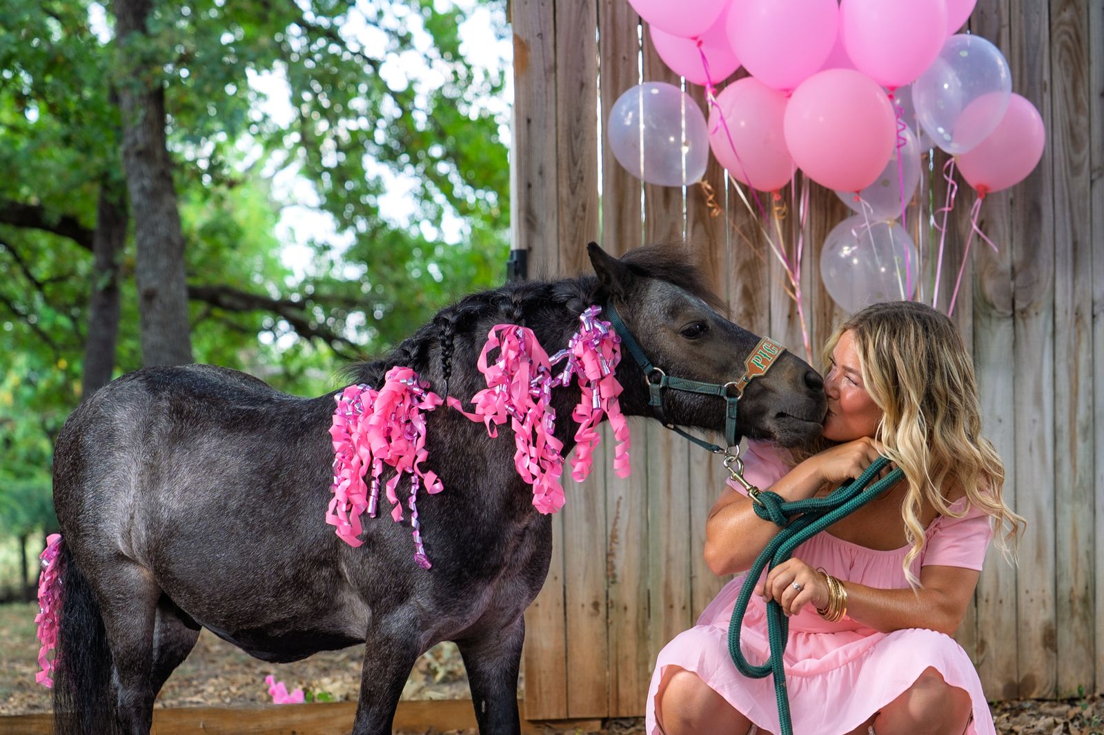 Pickles the Party Pony, photo 06 of 16