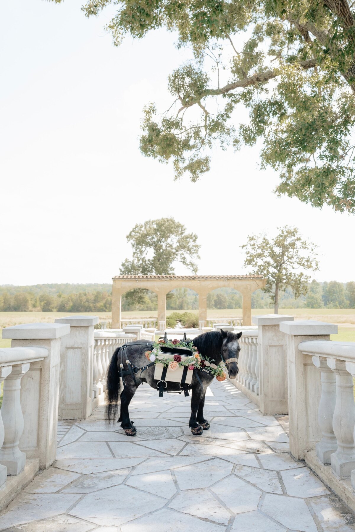 Pickles posed outdoors at a North Texas wedding venue in custom florals and party pack