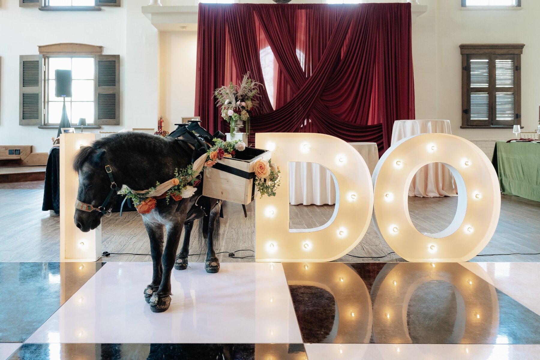 Pickles the Party Pony beside illuminated I DO letters on a wedding dance floor