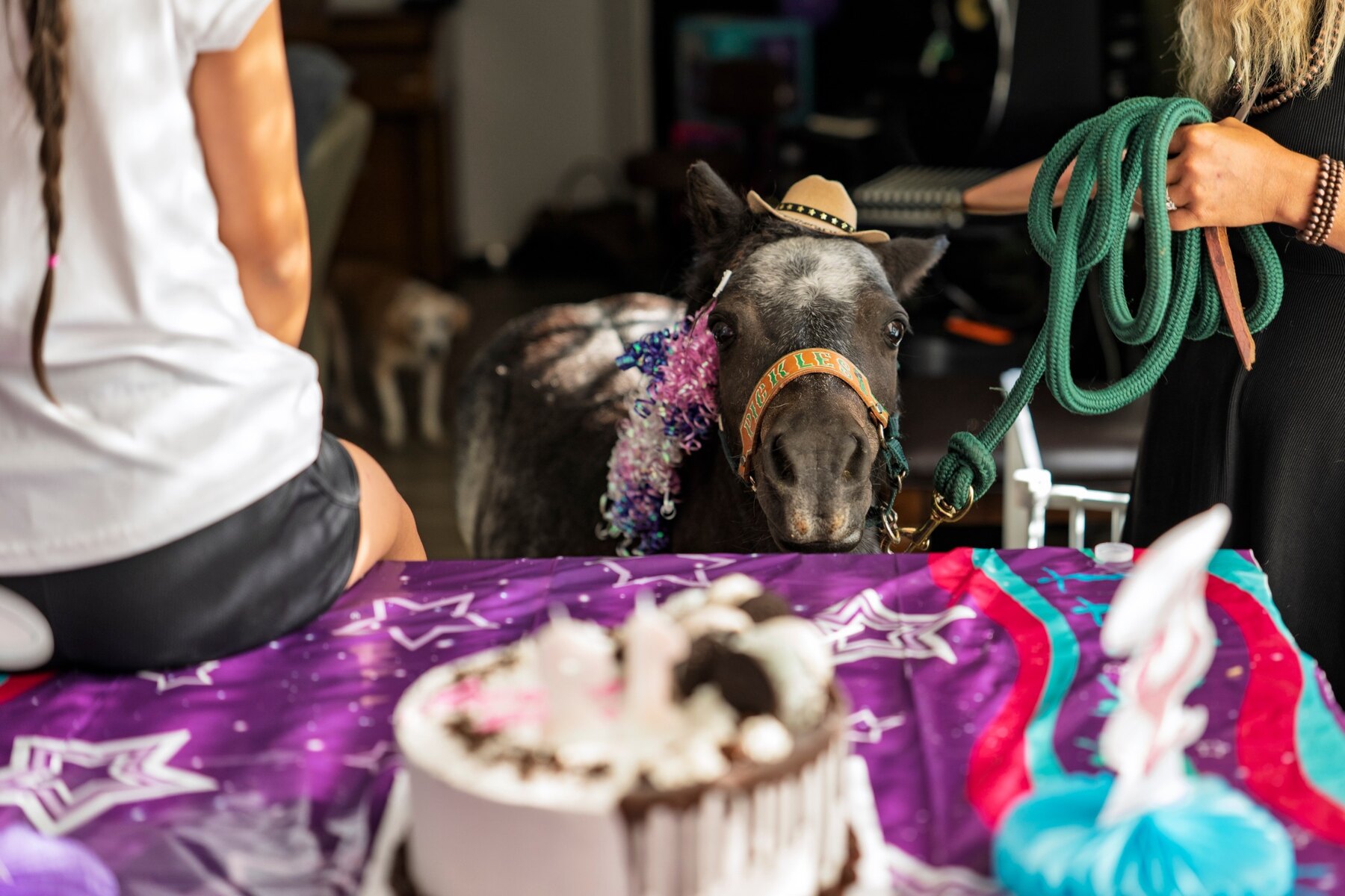 Pickles wearing a cowboy hat while celebrating with guests at a birthday party