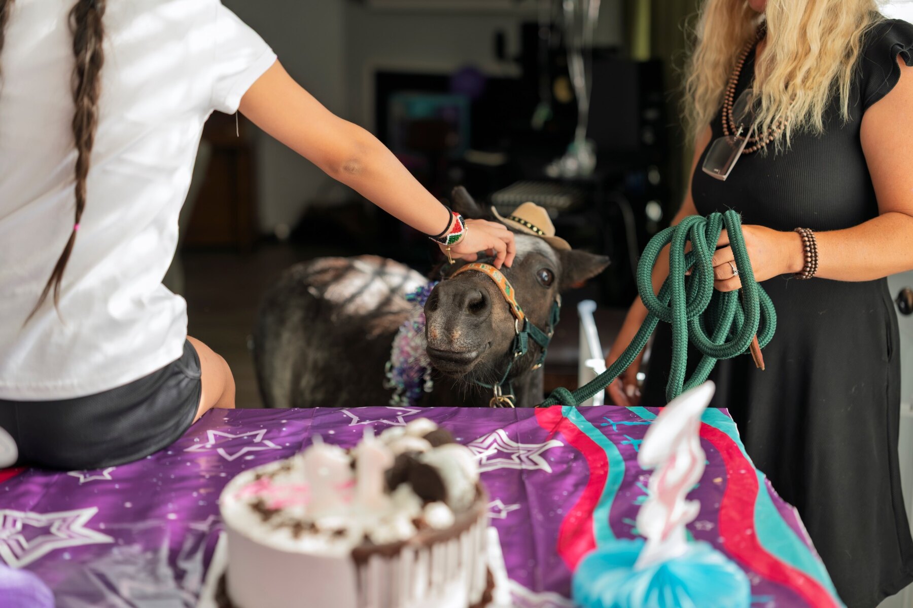 A guest petting Pickles at a colorful birthday celebration